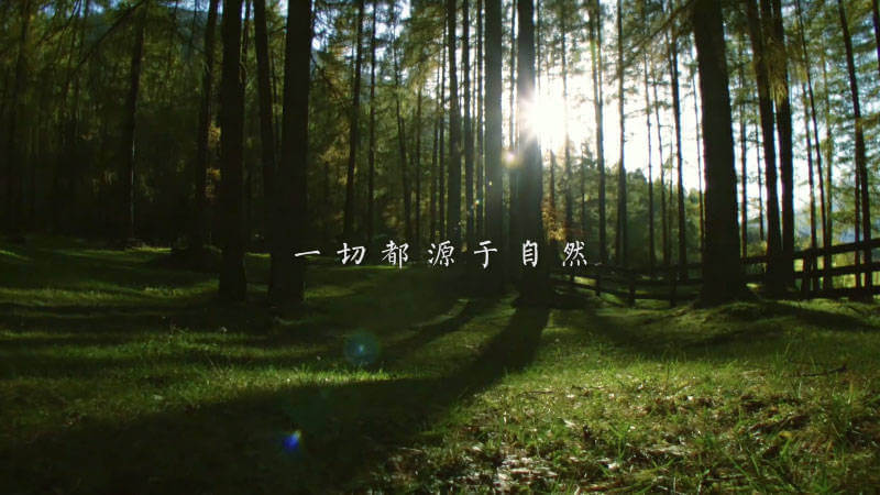 1489287216135459.jpg 3.jpg