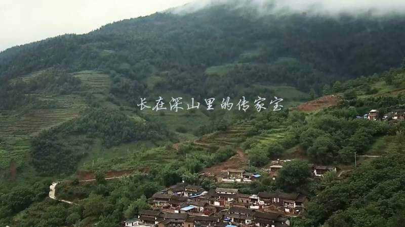 1504948159105100.jpg TIM截圖20170909140757.jpg