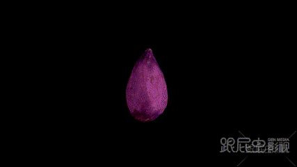 1563780836961717.gif 索利斯手持料理機1-(1).gif