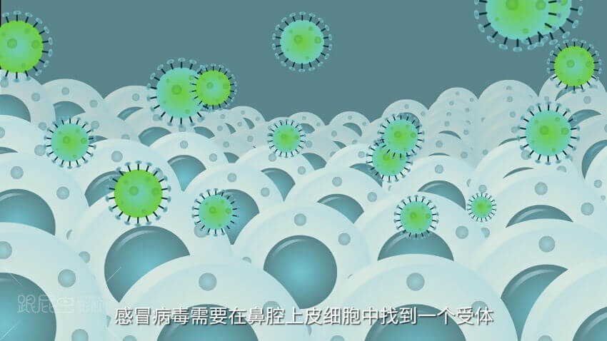 1565860548140141.jpg 2.jpg