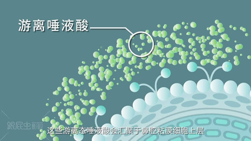 1565860590662216.jpg 5.jpg