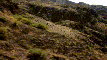 1571797745137701.gif 20191021 奔達(dá)摩托 (2).gif