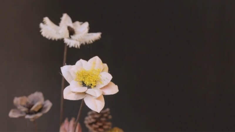 婉桃花舍插畫作品宣傳視頻