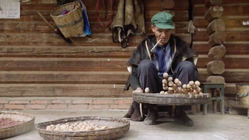 云南三臺鄉核桃杭州形象宣傳片