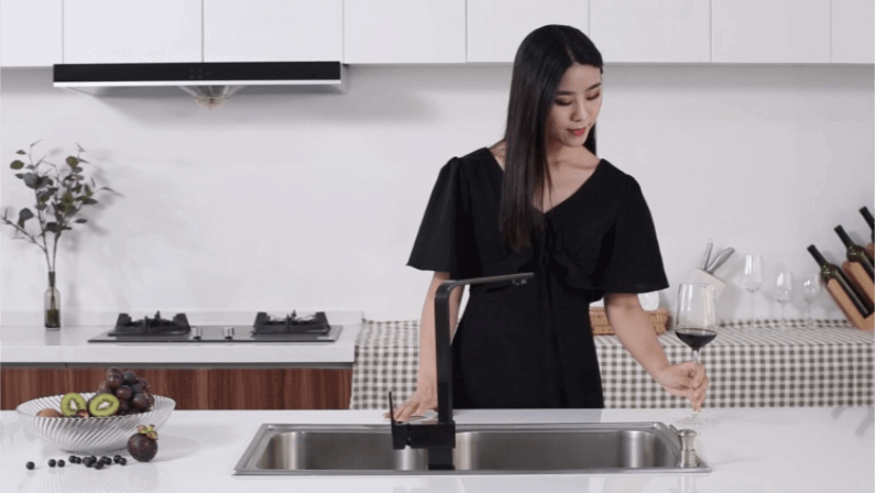 羅麗莎：黑色經典