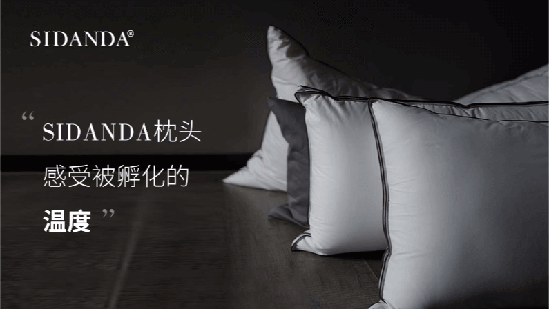 SIDANDA枕頭：感受被孵化的溫度